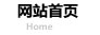 網站首頁